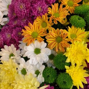 Isabelle Fleurs
