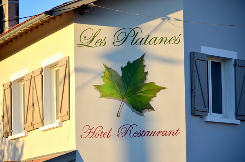 Les Platanes - photo 3