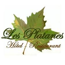 Les Platanes - photo 2